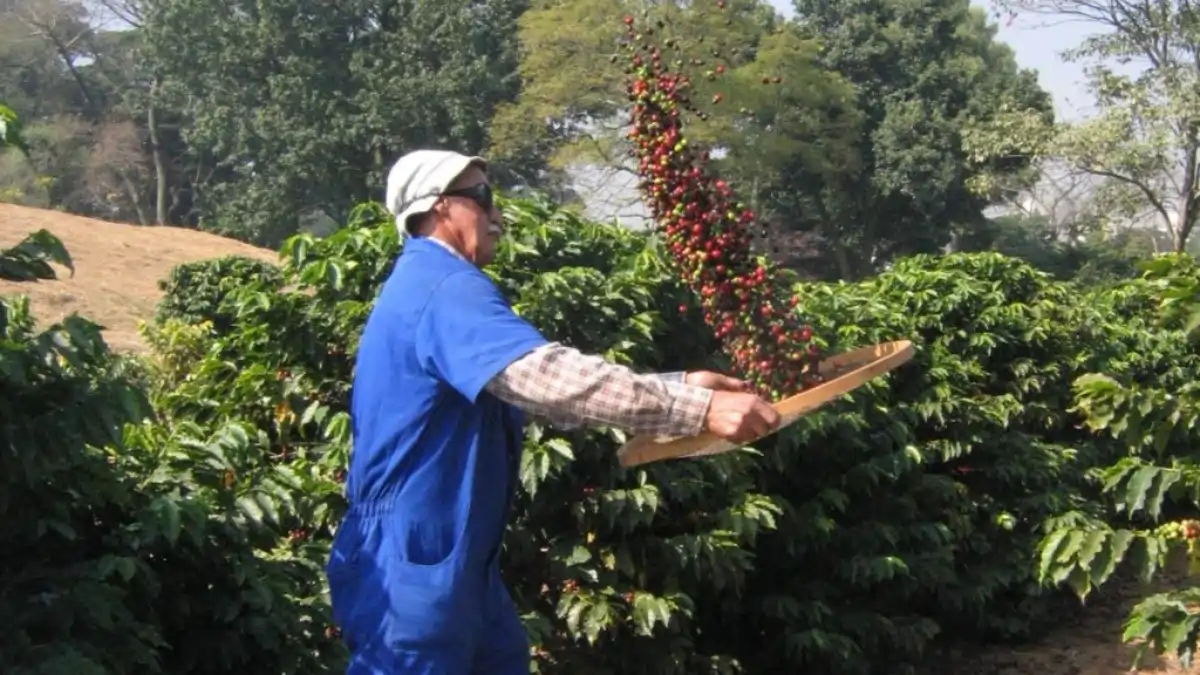 Agro paulista registra superávit de US$ 2,79 bi no início de 2026