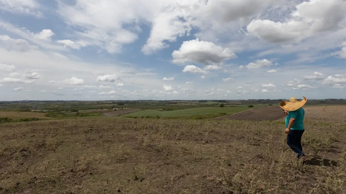 Seca perde força no Brasil e atinge menor área em fevereiro