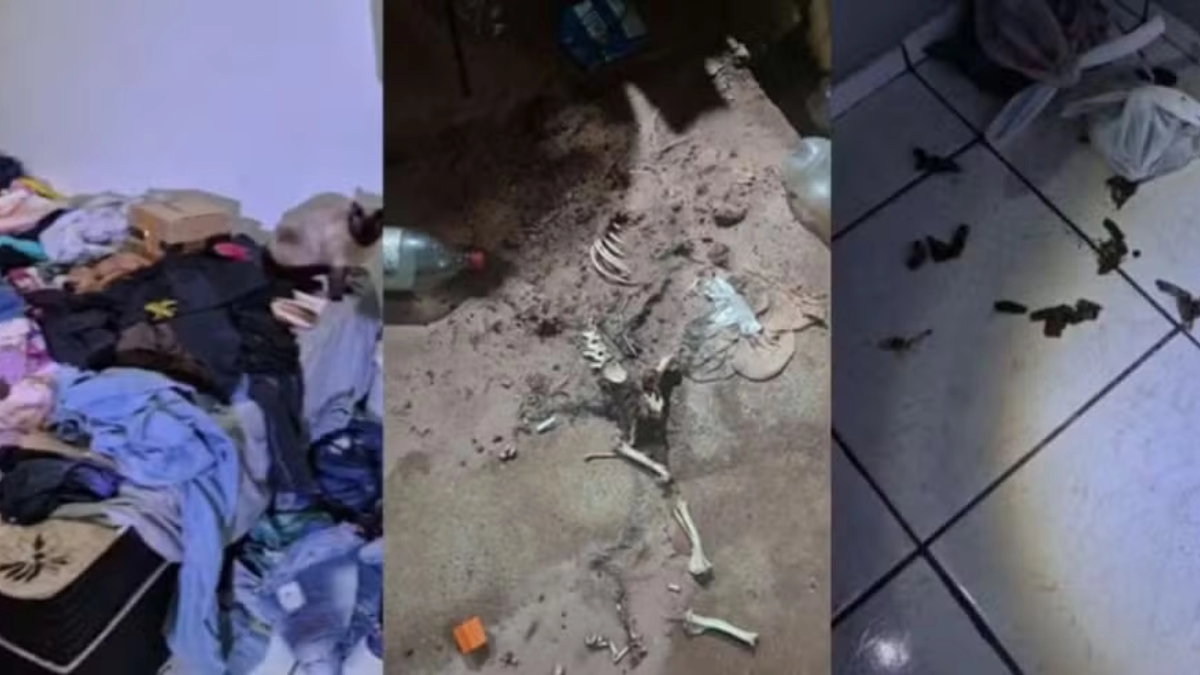 Criança é resgatada em meio a abandono e sujeira em casa em Assis