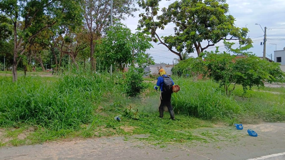 Prefeitura chama MEIs para cuidar de áreas verdes da cidade