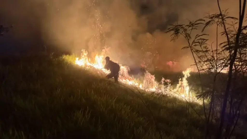 Incêndio destrói 70 mil m² de pastagem em Marília