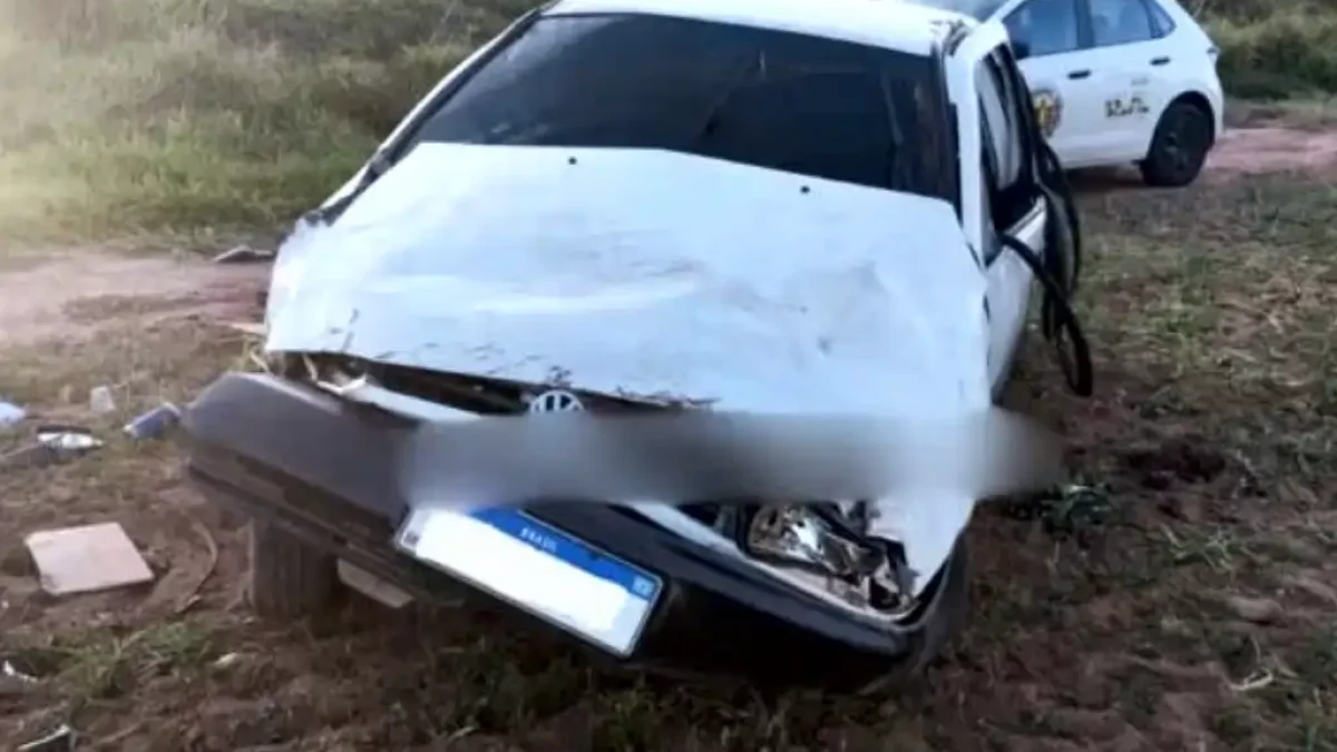 Divulgação