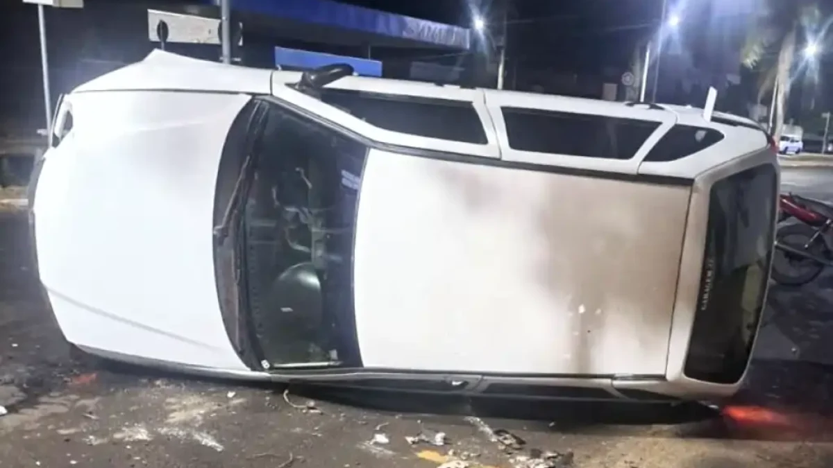 Divulgação
