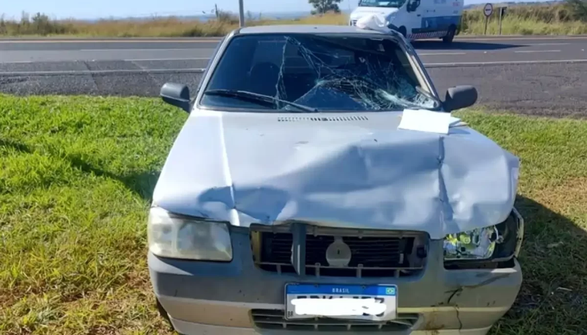 Foto: Reprodução/Portal NC