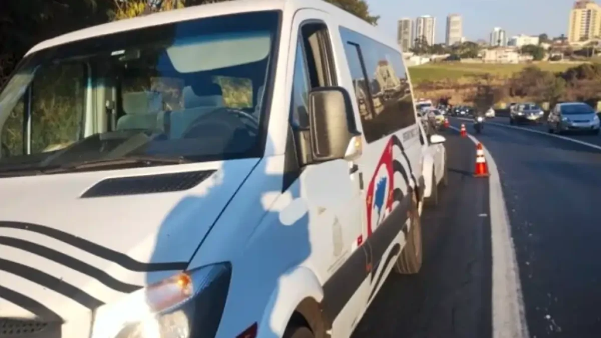 Divulgação