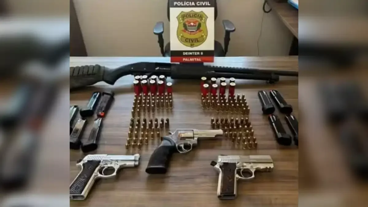 Divulgação/Polícia Civil