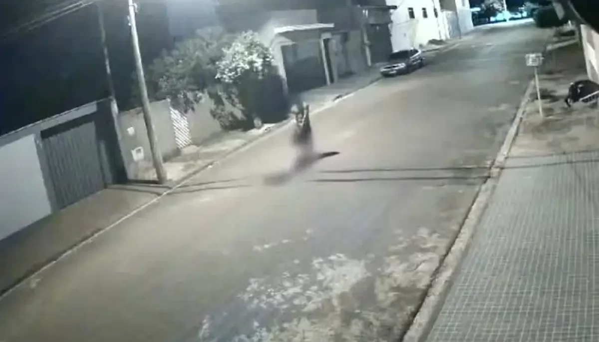 Foto: Reprodução/Câmera de Monitoramento