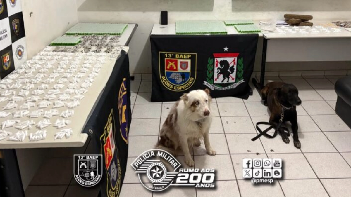 Divulgação/Polícia Militar