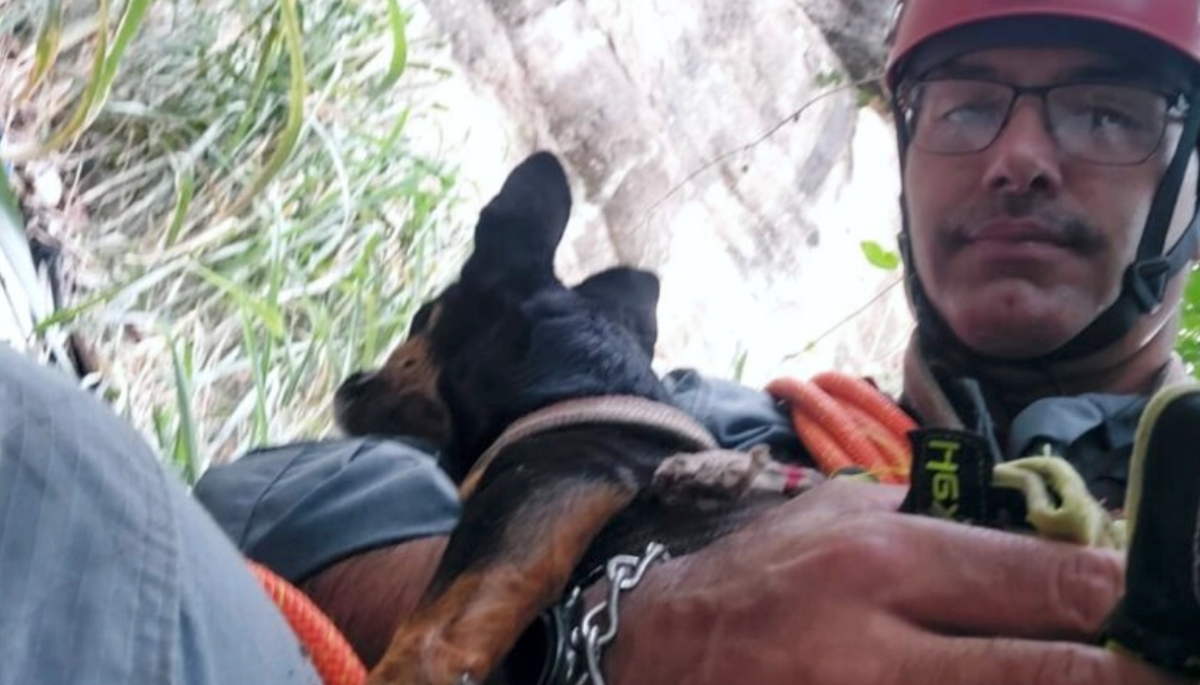 Divulgação/Corpo de Bombeiros