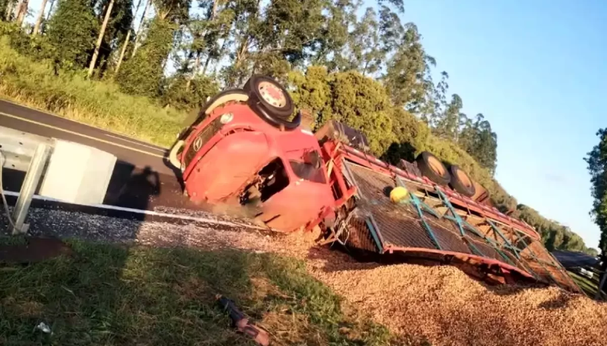 Foto: Divulgação/Artesp