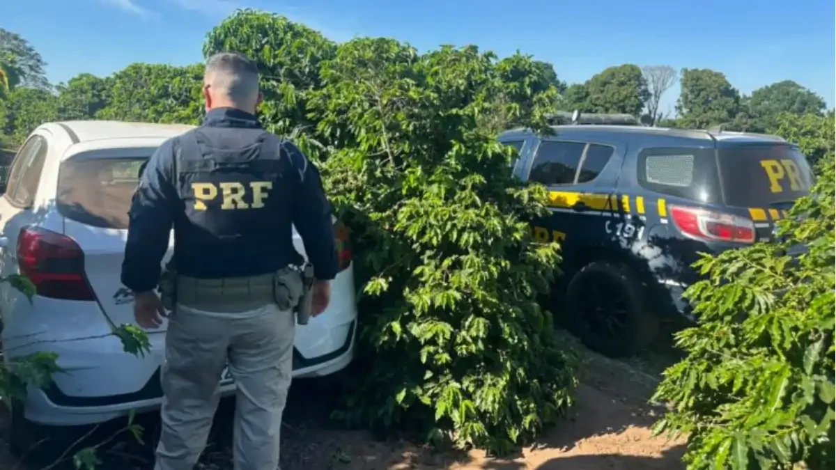 Divulgação/Polícia Rodoviária Federal