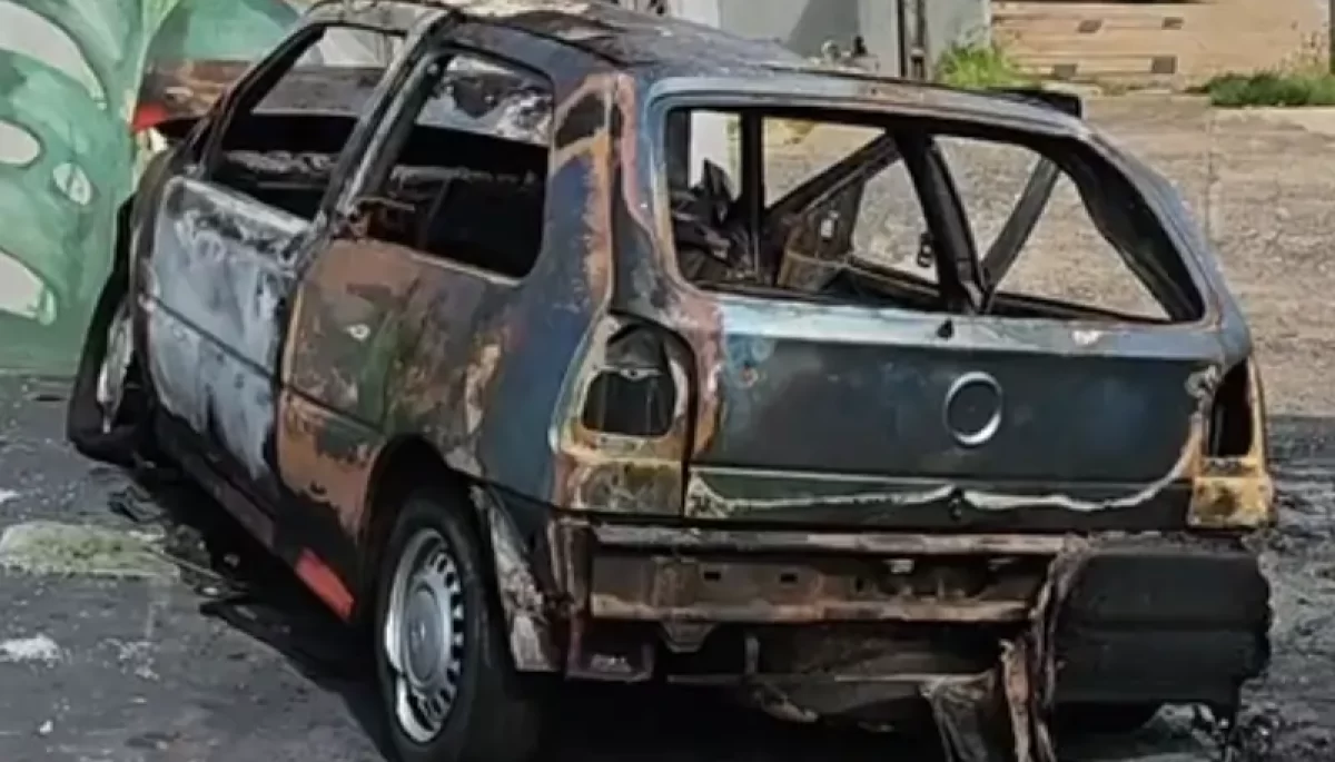 Foto: Reprodução/Garça em Foco