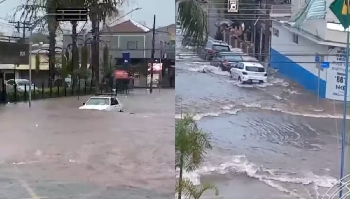 Foto: Prefeitura de Assis/Divulgação