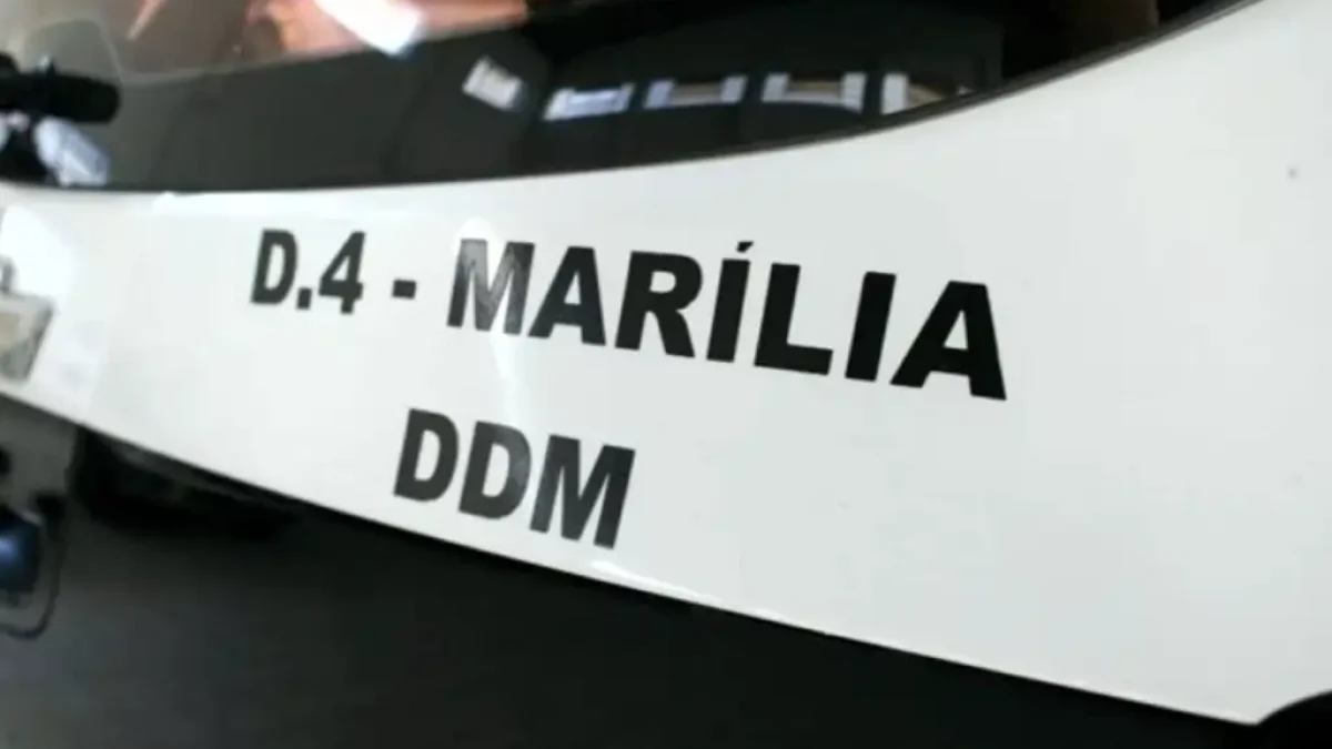Reprodução/Polícia Civil
