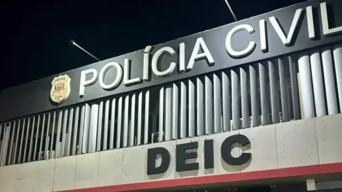 Divulgação