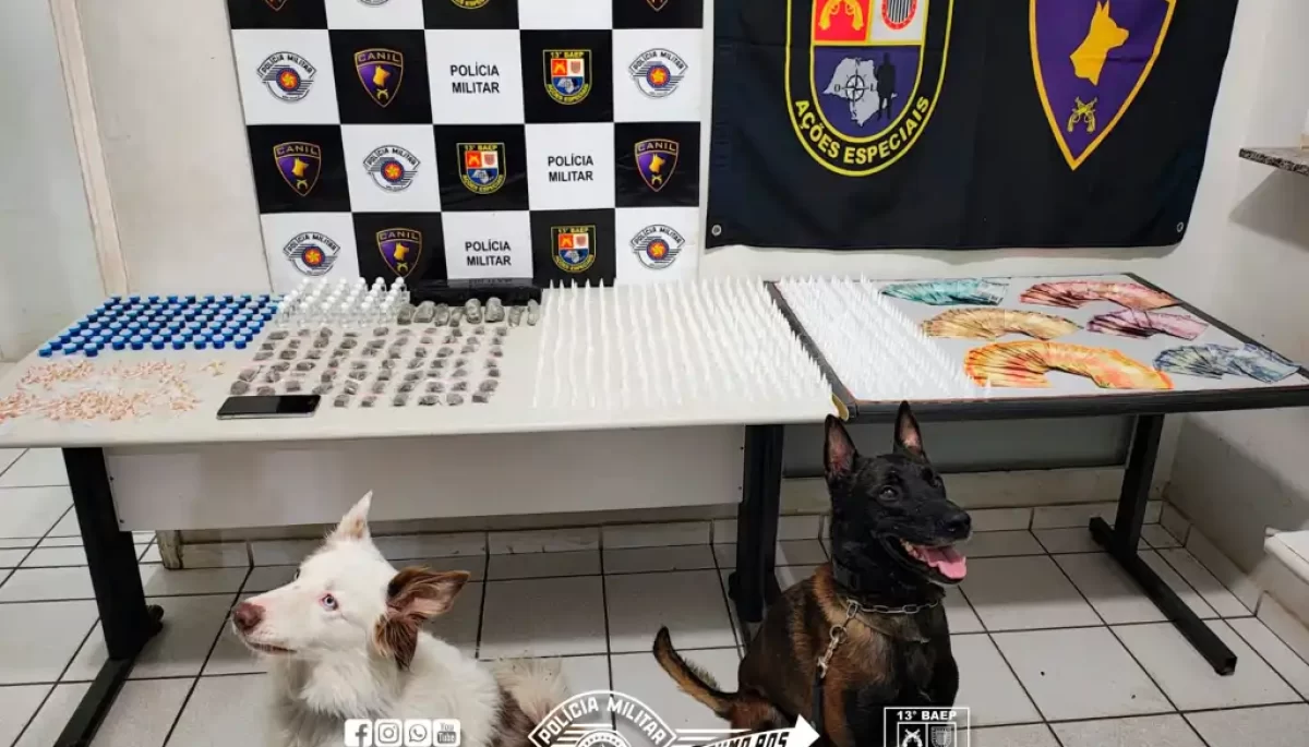 Divulgação/Polícia Militar