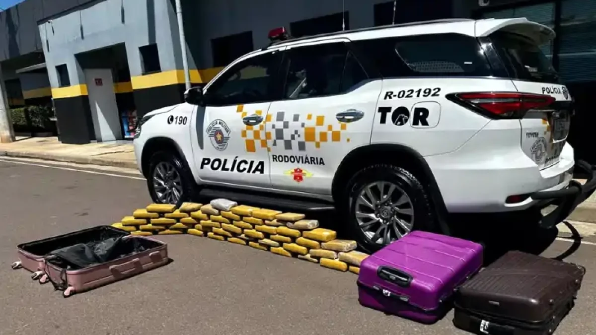 Foto: Divulgação/Polícia Militar Rodoviária