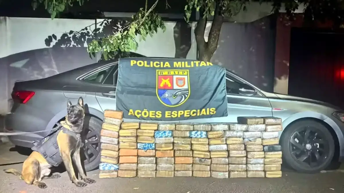 Divulgação/Polícia Militar - 8° Baep