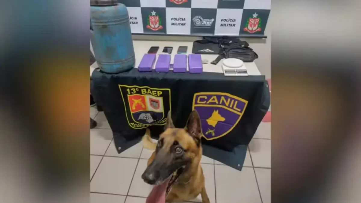 Foto: Divulgação/Polícia Militar