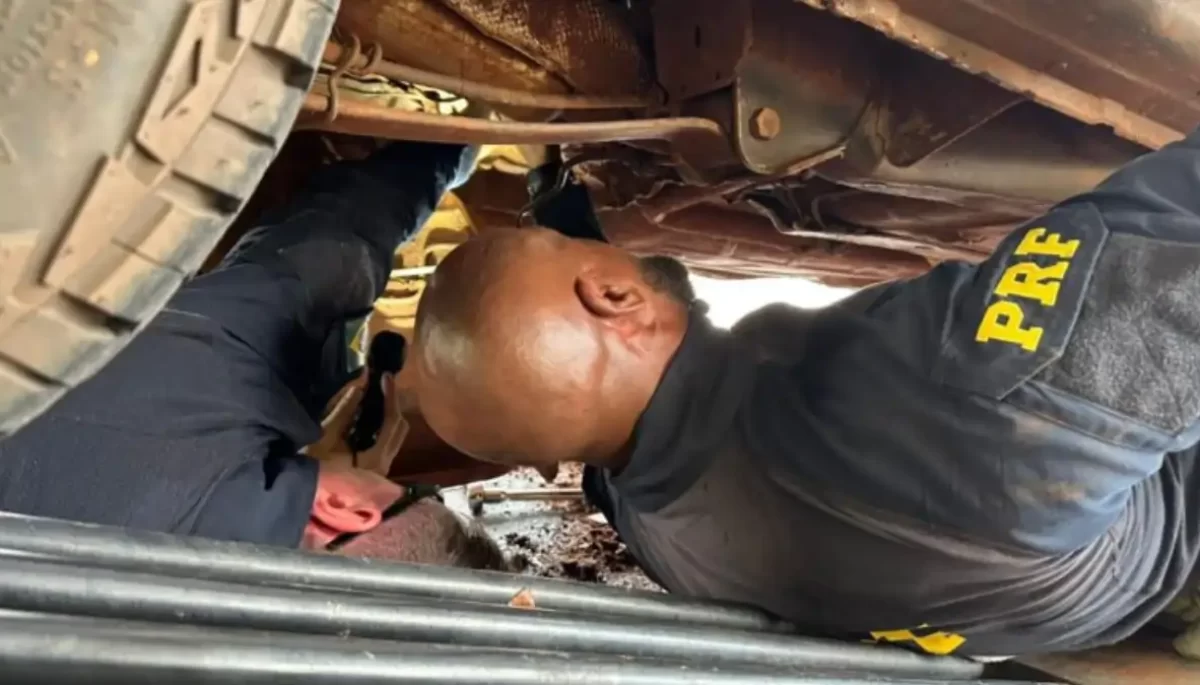 Divulgação/Polícia Rodoviária Federal