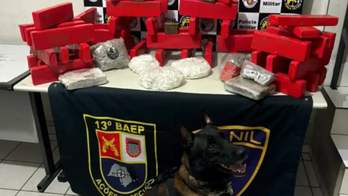 Maconha e cocaína apreendidas com apoio do cão Max, do Canil da Polícia Militar - Foto: Divulgação/Polícia Militar