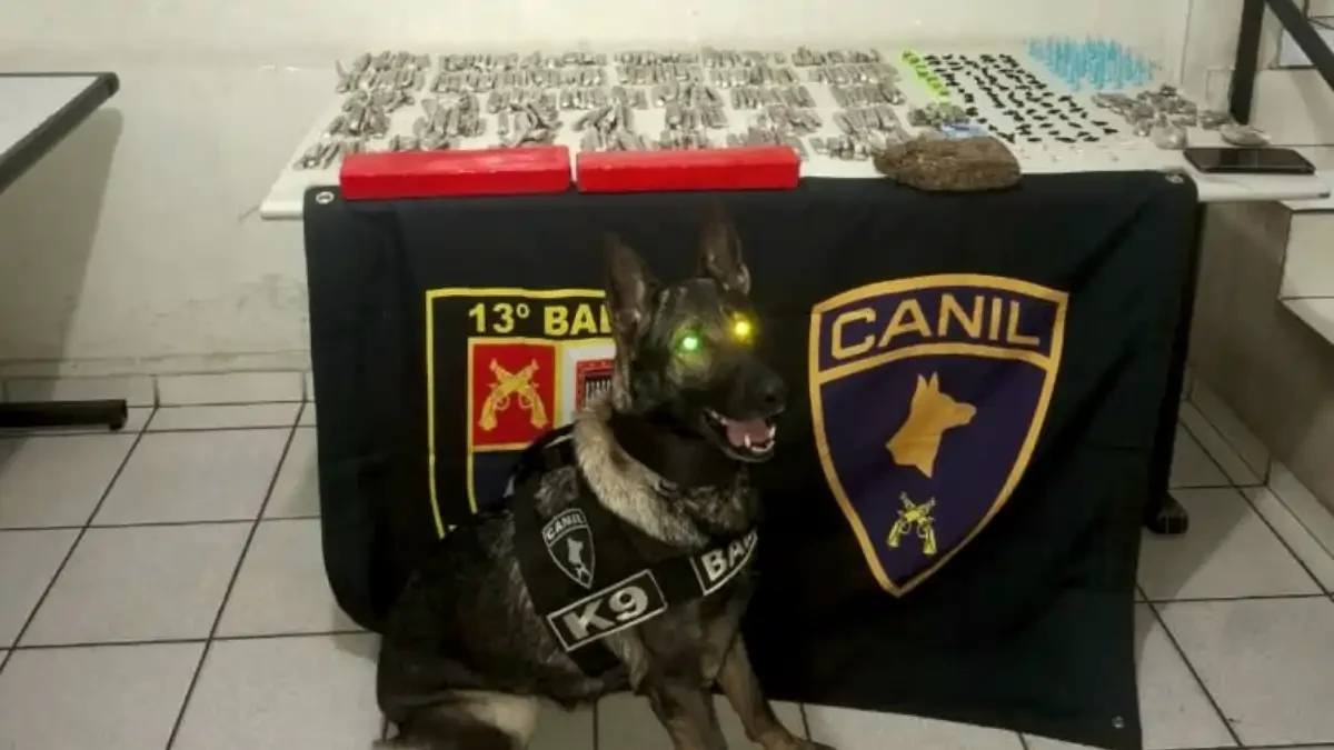 Divulgação/Polícia Militar