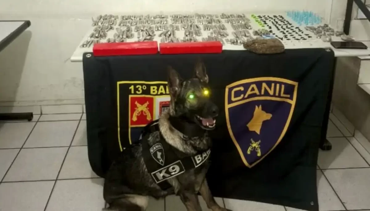 Divulgação/Polícia Militar