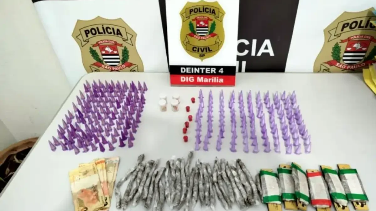 Foto: Divulgação/Polícia Civil