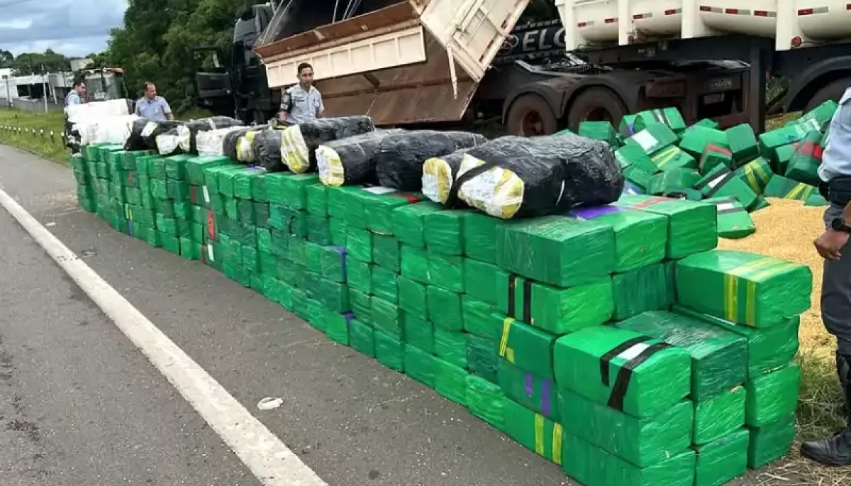 Foto: Divulgação/Polícia Militar Rodoviária