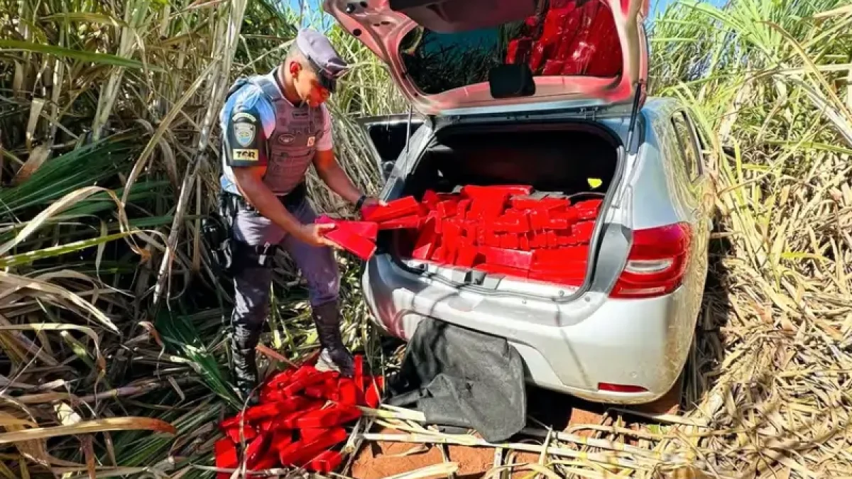Foto: Divulgação/Polícia Militar Rodoviária