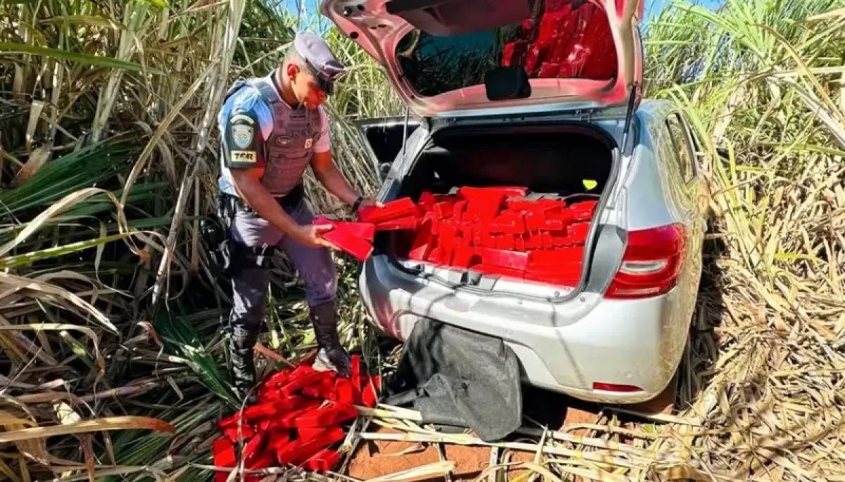 Foto: Divulgação/Polícia Militar Rodoviária