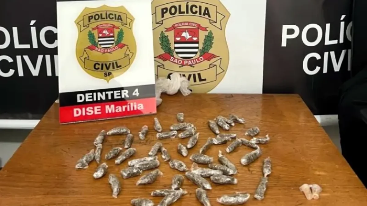 Foto: Divulgação/Polícia Civil