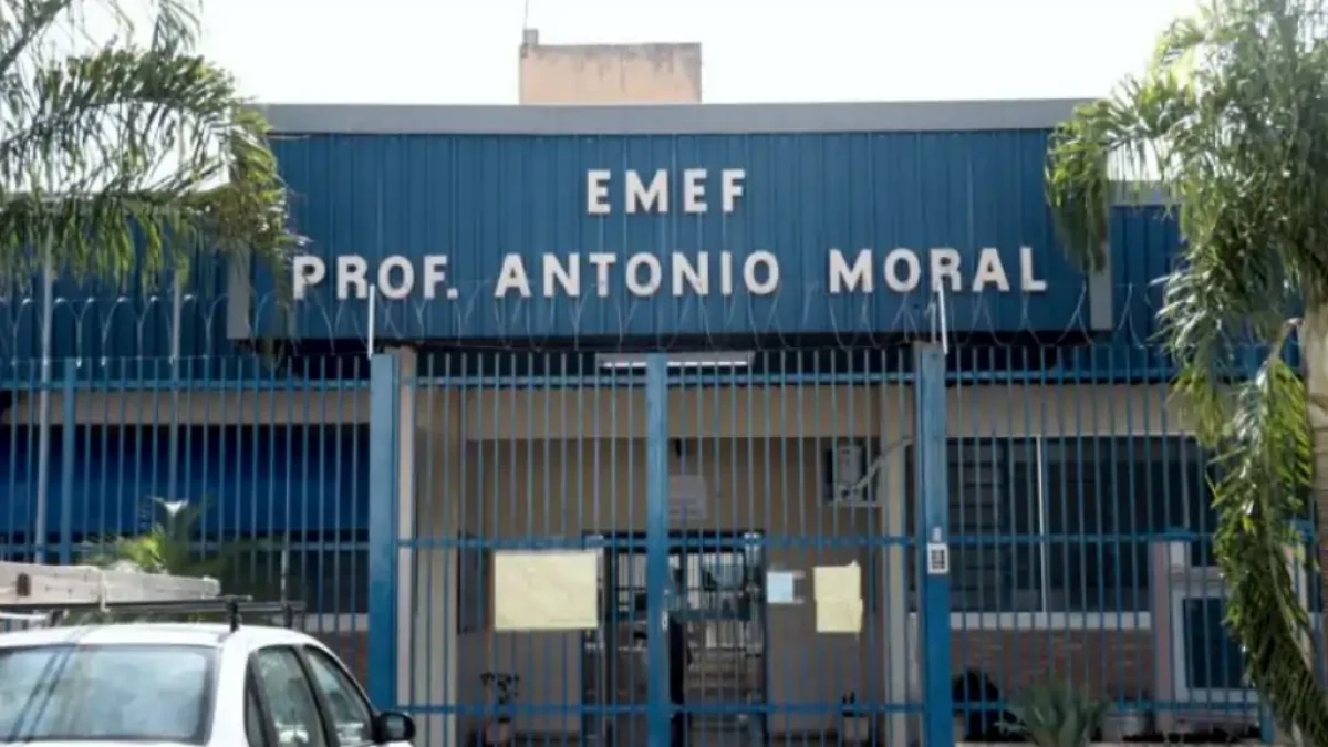 Divulgação
