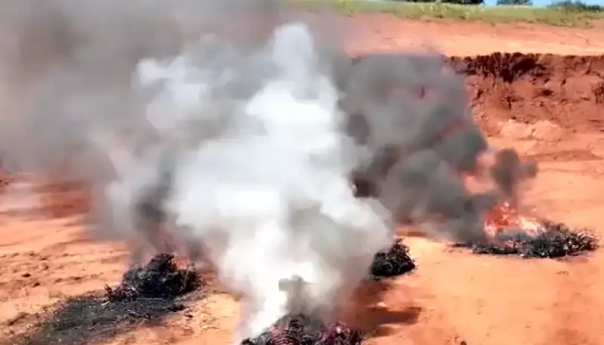 Foto: Divulgação/Polícia Militar