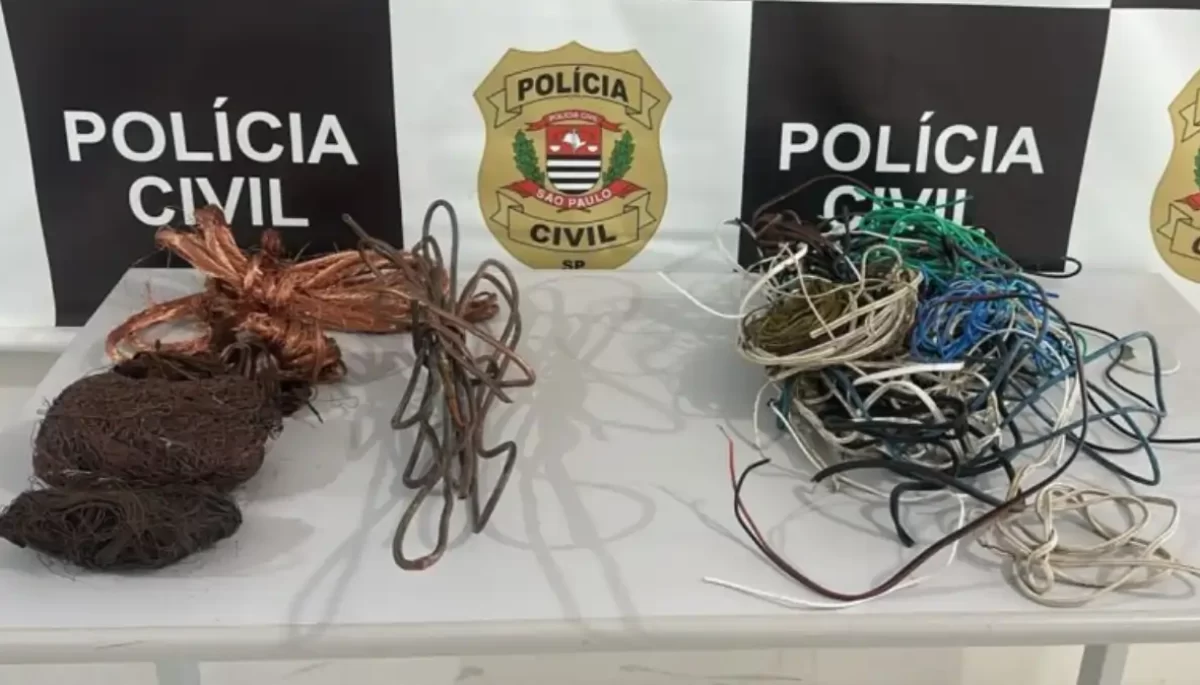 Divulgação/Polícia Civil