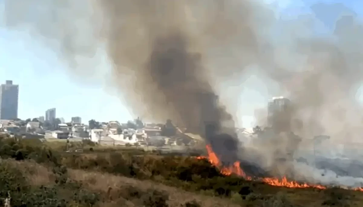 Divulgação/Polícia Militar Rodoviária