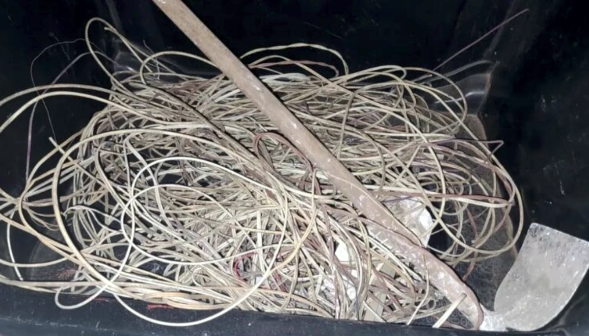 Divulgação/Polícia Militar