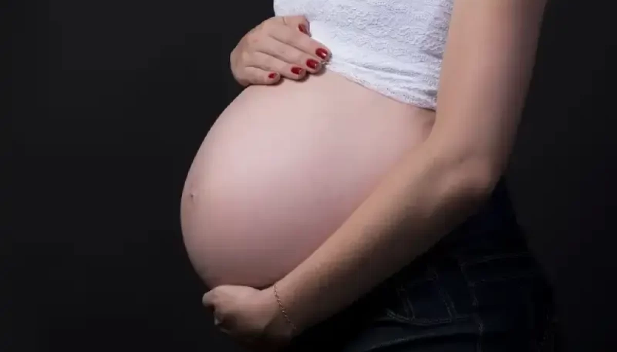 Foto: Fotorech/Pixabay