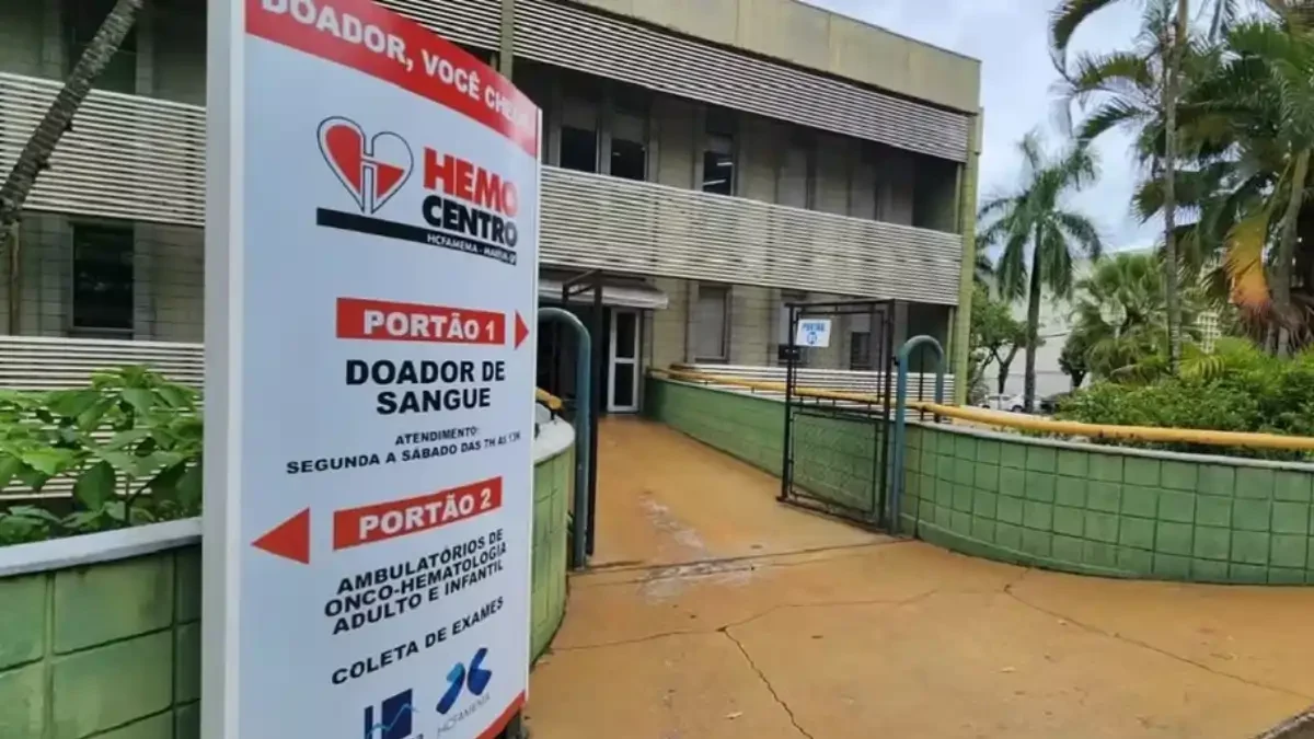 Divulgação