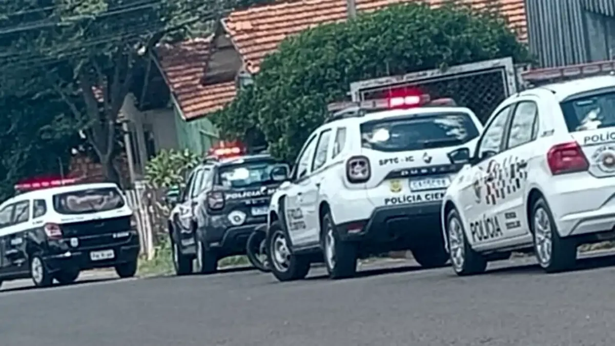 Divulgação