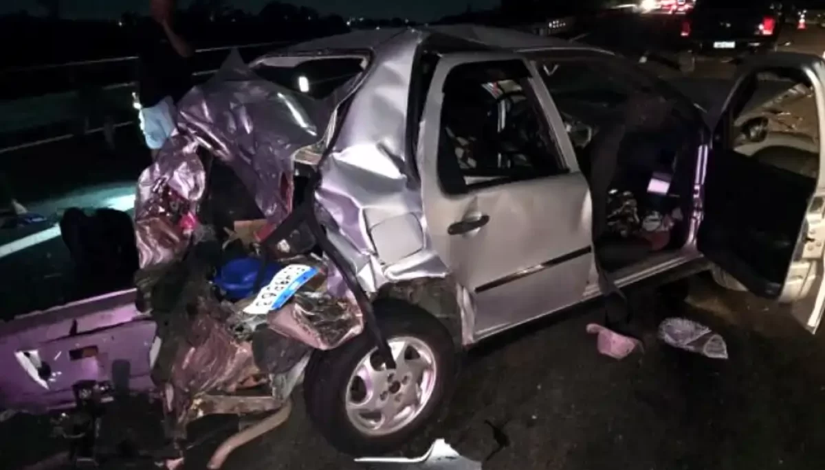 Foto: Chico Neto/Garça em Foco