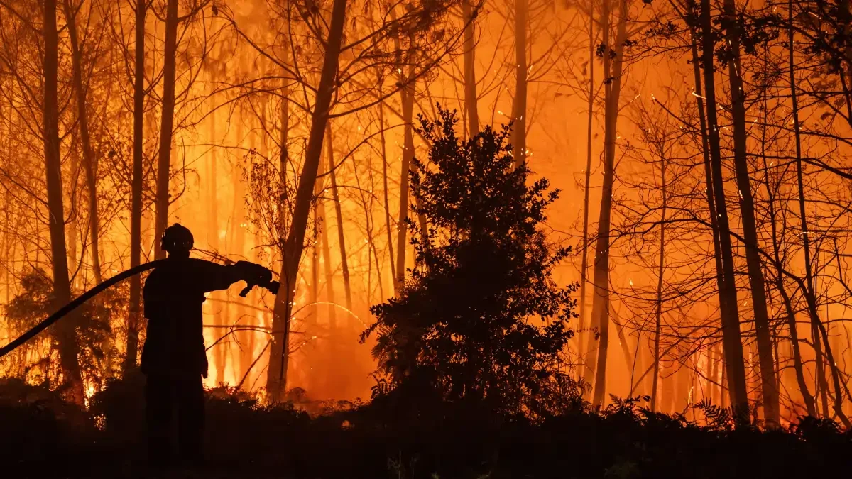 Damien Rembert/EPA