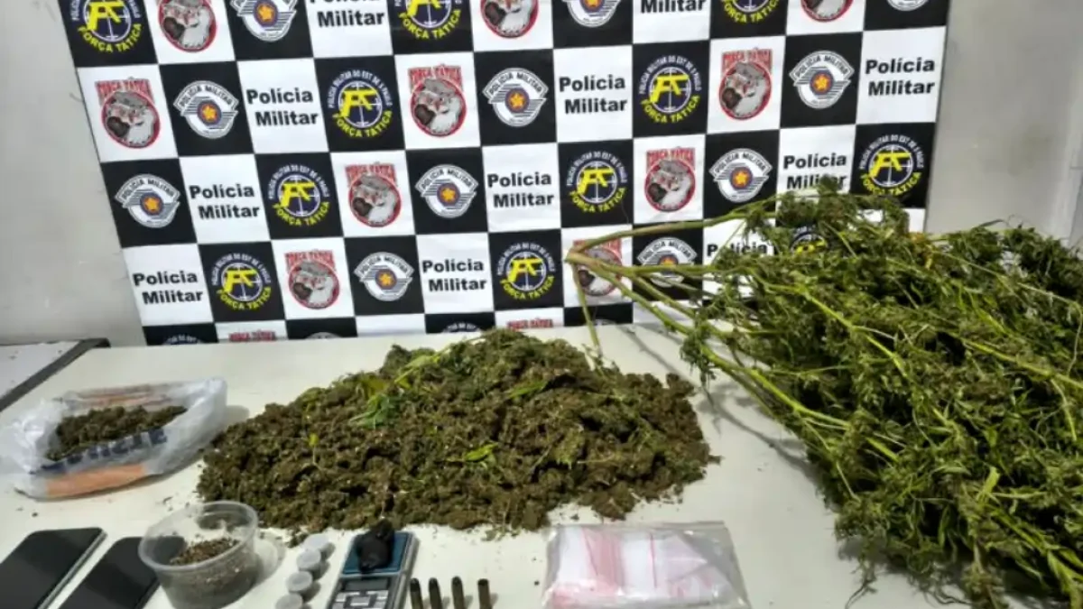 Foto: Divulgação/Polícia Militar