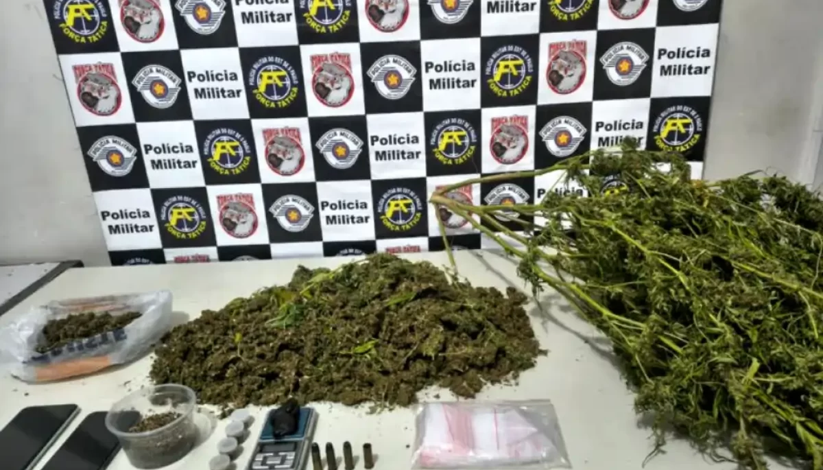 Foto: Divulgação/Polícia Militar