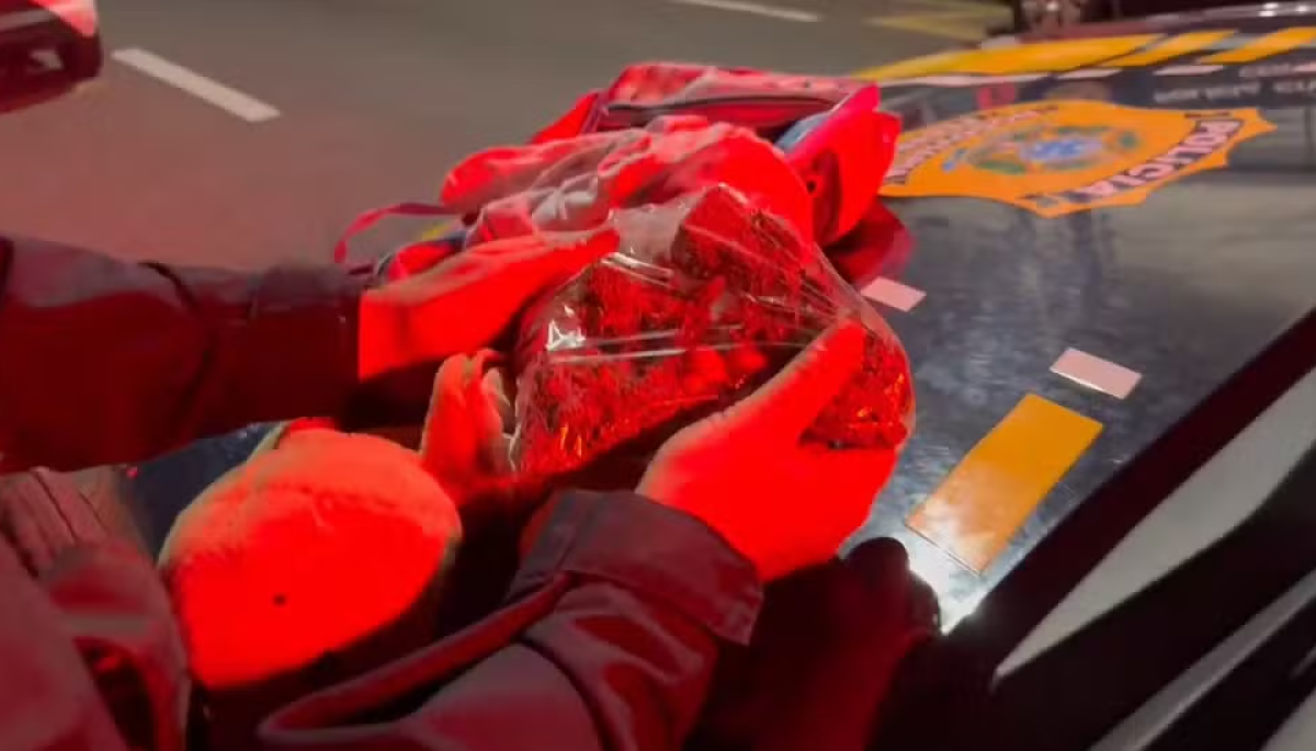 Foto: Polícia Rodoviária Federal/Divulgação