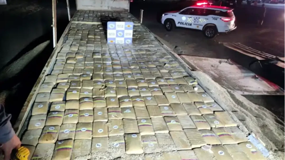 Foto: Divulgação/Polícia Militar Rodoviária