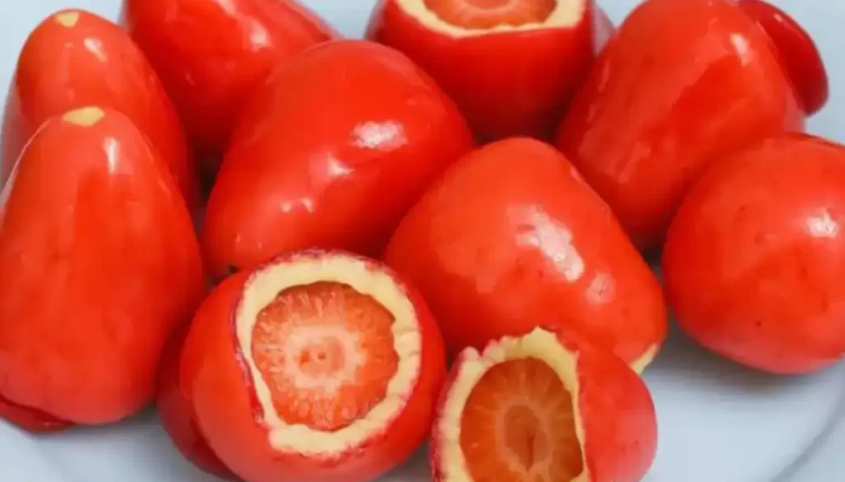 Divulgação/Receitas Já