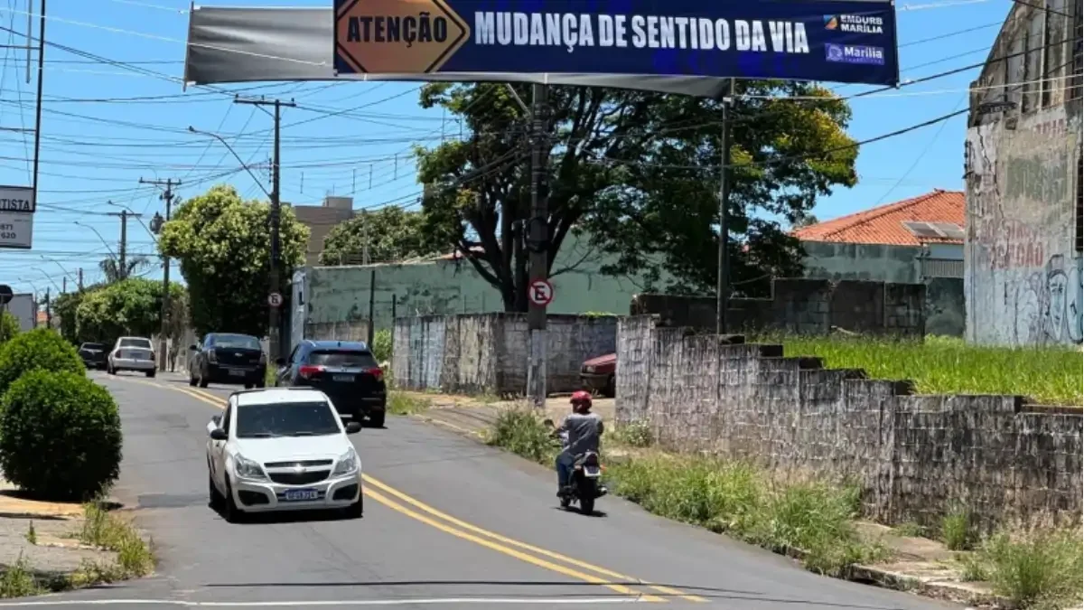 Divulgação