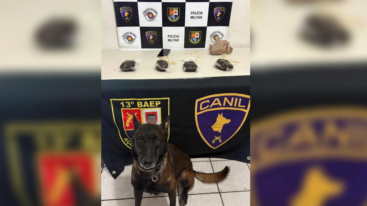 Divulgação/Polícia Militar