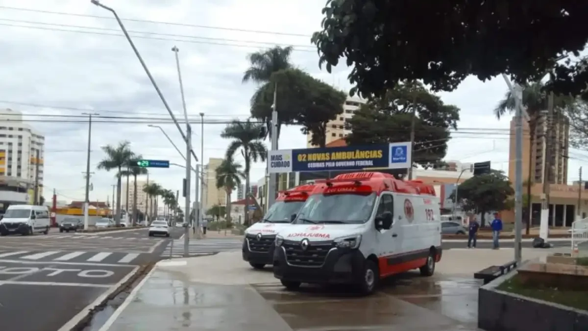 Divulgação
